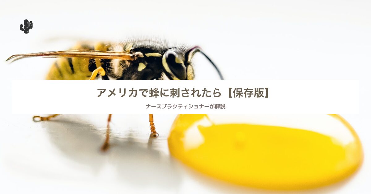 アメリカで蜂に刺されたら