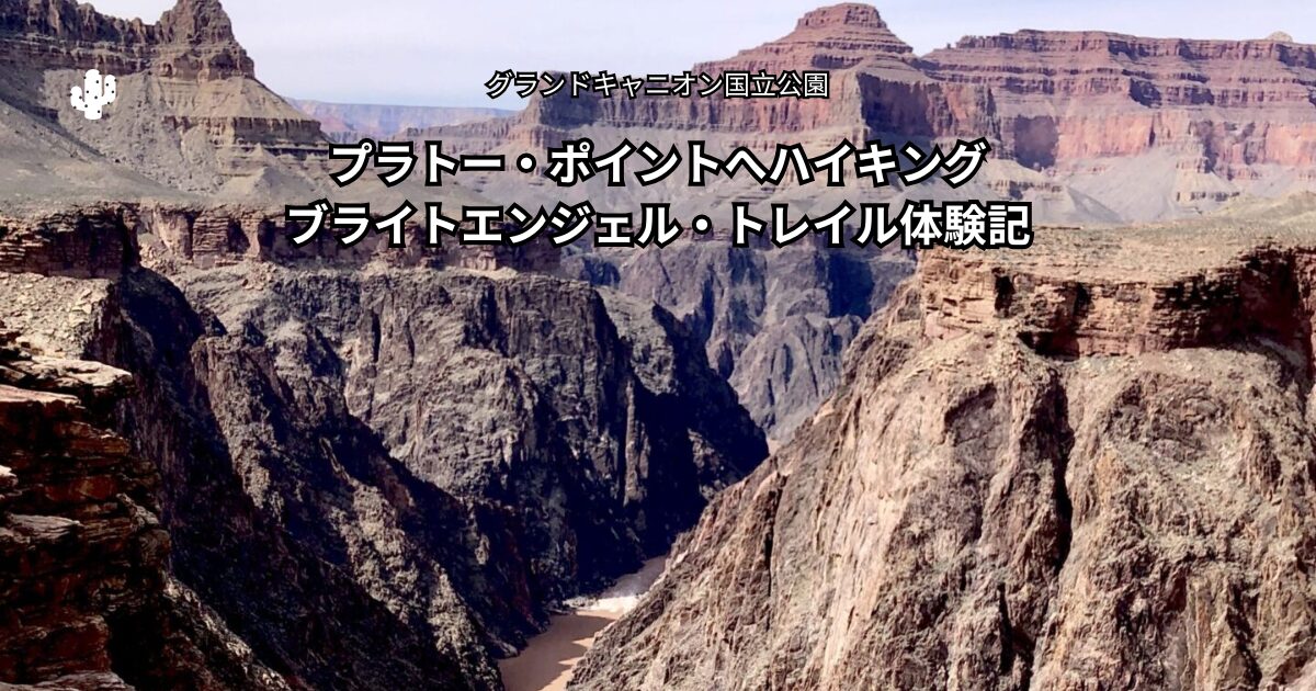 コロラド川を見下ろす絶景— グランドキャニオン、プラトーポイントより —