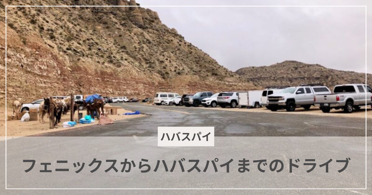 ハバスパイへの行き方・ヒルトップのアイキャッチ画像|むぎパンク