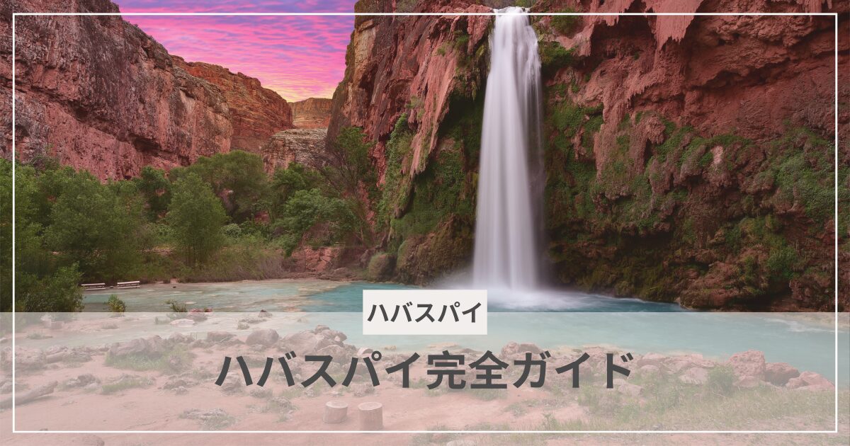 ハバスパイ|むぎパンク