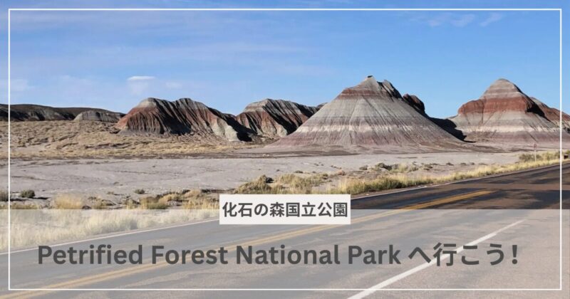 化石の森国立公園のアイキャッチ画像|むぎパンク