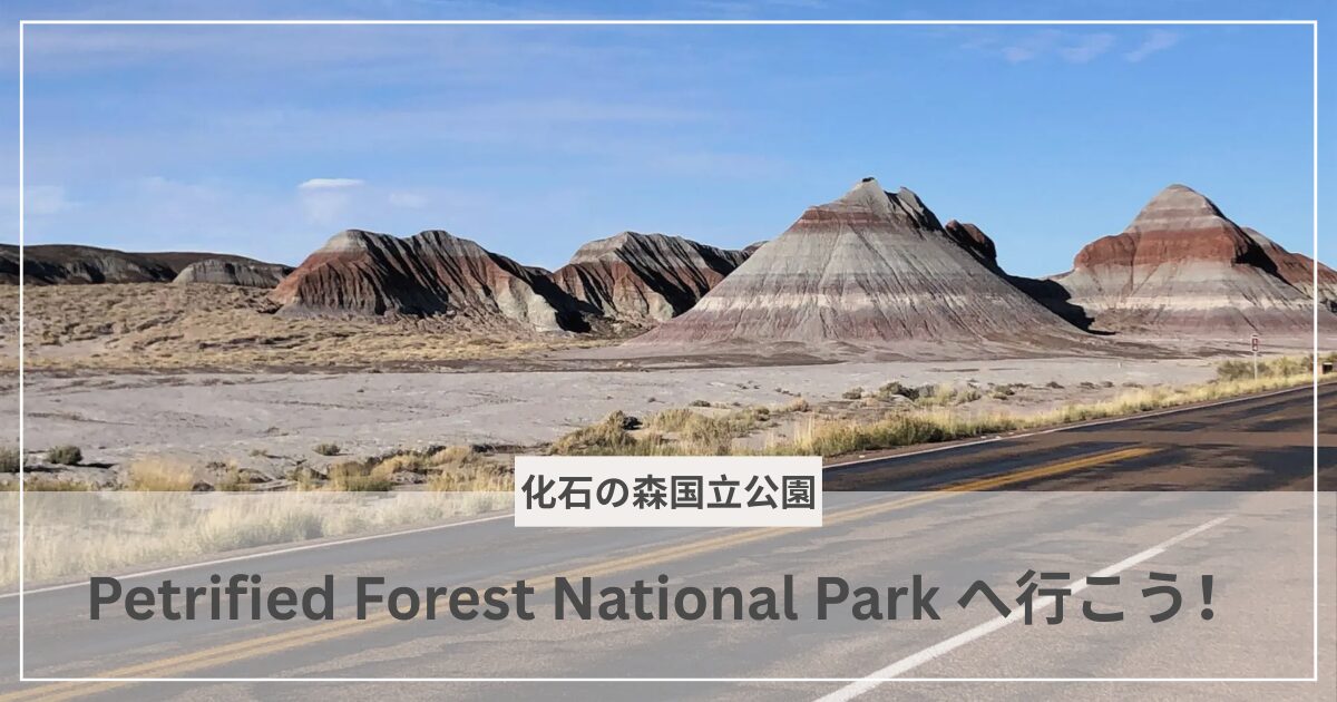 化石の森国立公園のアイキャッチ画像｜むぎパンク