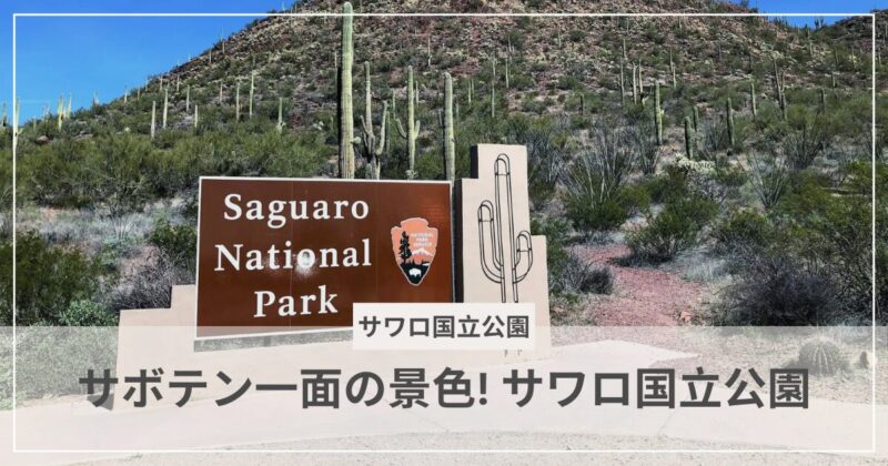 サワロ国立公園の入り口:むぎパンク