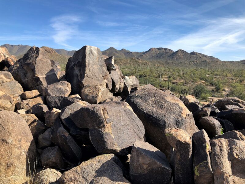 Signal Hill Trail - Saguaro National Park4