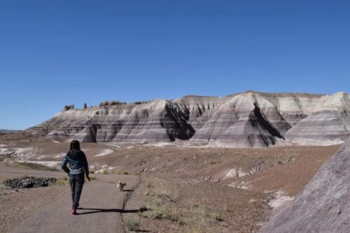 アメリカ南西部の旅行｜むぎパンク