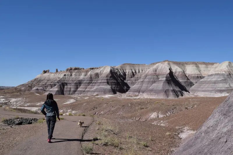 アメリカ南西部の旅行|むぎパンク