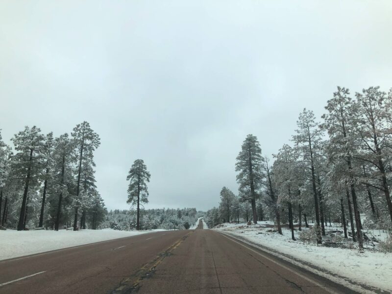 フェニックス発ロードトリップ・3月のアリゾナ|むぎパンク