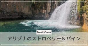 アリゾナのストロベリーとパイン・アイキャッチ画像｜むぎパンク