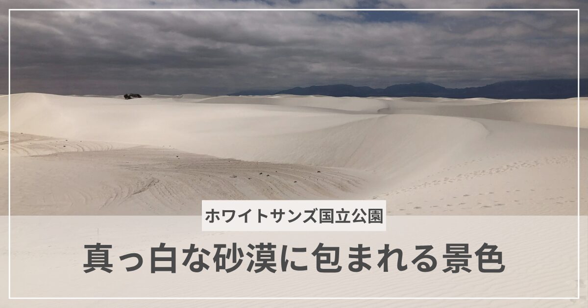 ホワイトサンズ国立公園｜真っ白な砂丘ハイキングの旅